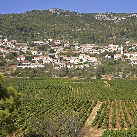 Feriehus In Korcula With Sea View *